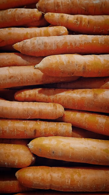 Padaria