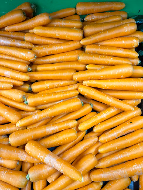 Hortifruti